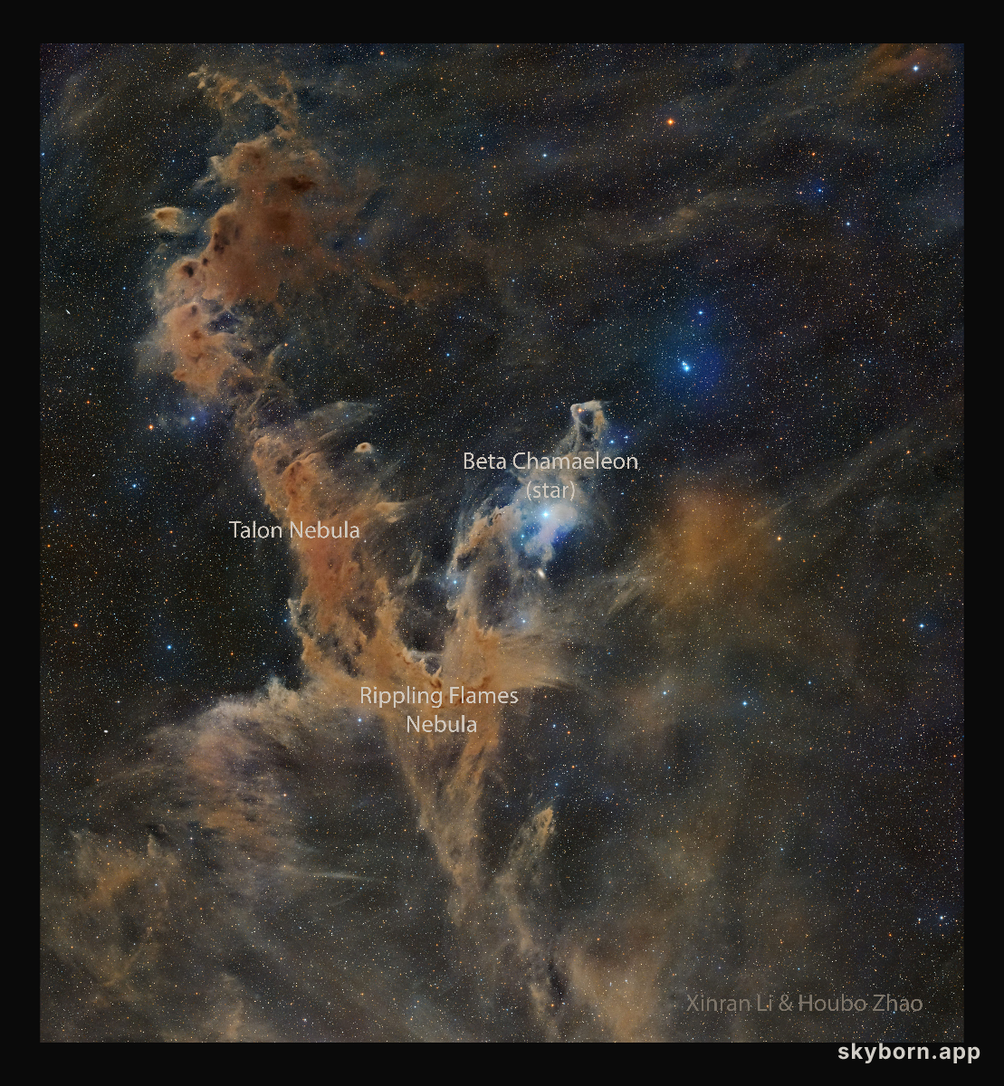 Chamaeleon Dark Nebulas