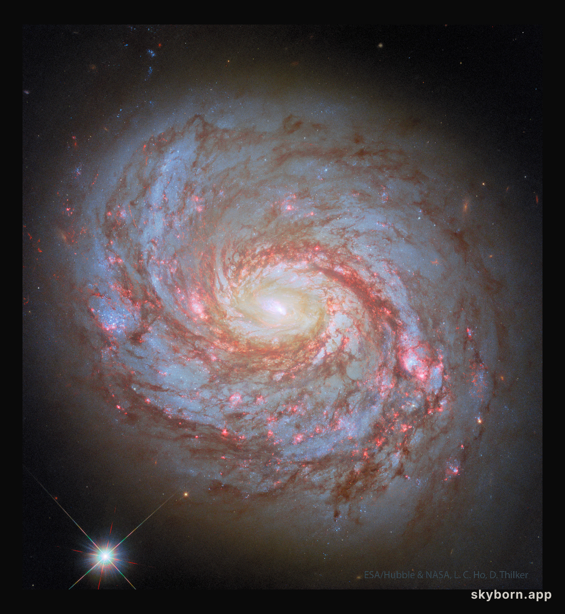 M77: Spiral Galaxy with an Active Center