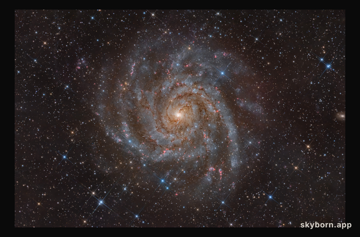 IC 342: Hidden Galaxy in Camelopardalis