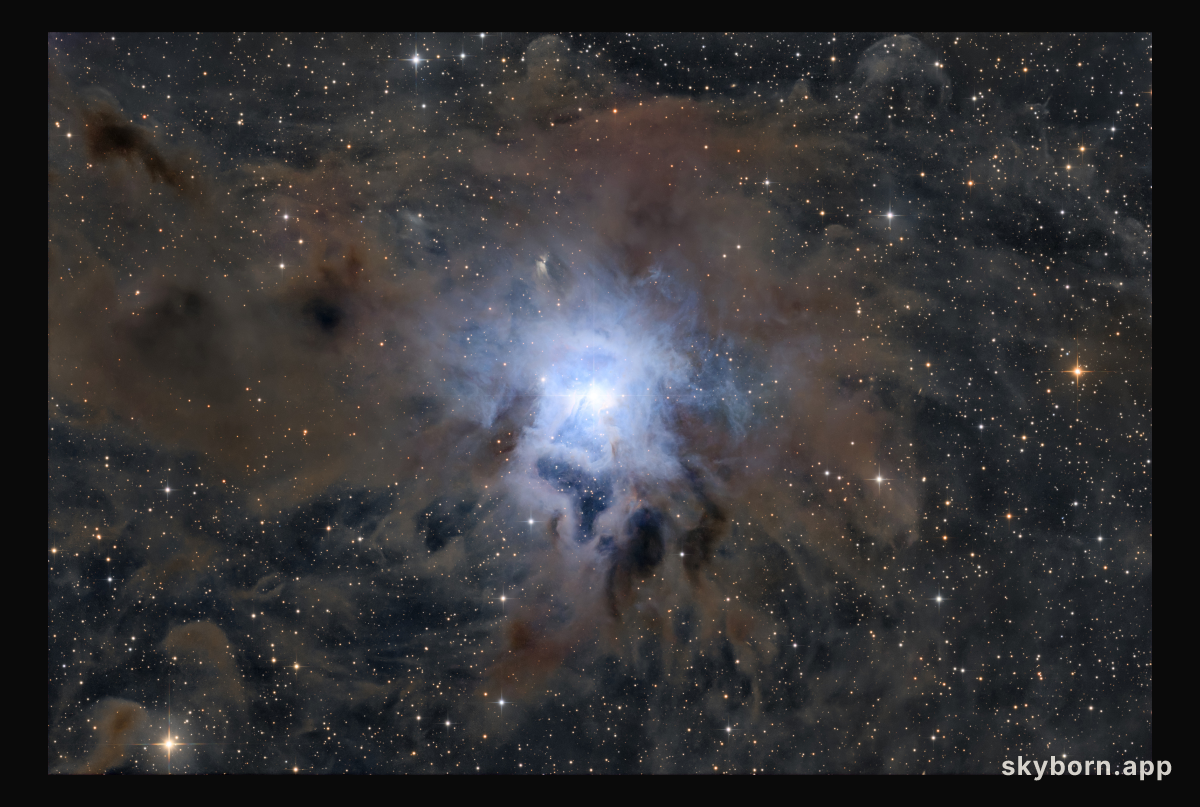 NGC 7023: The Iris Nebula