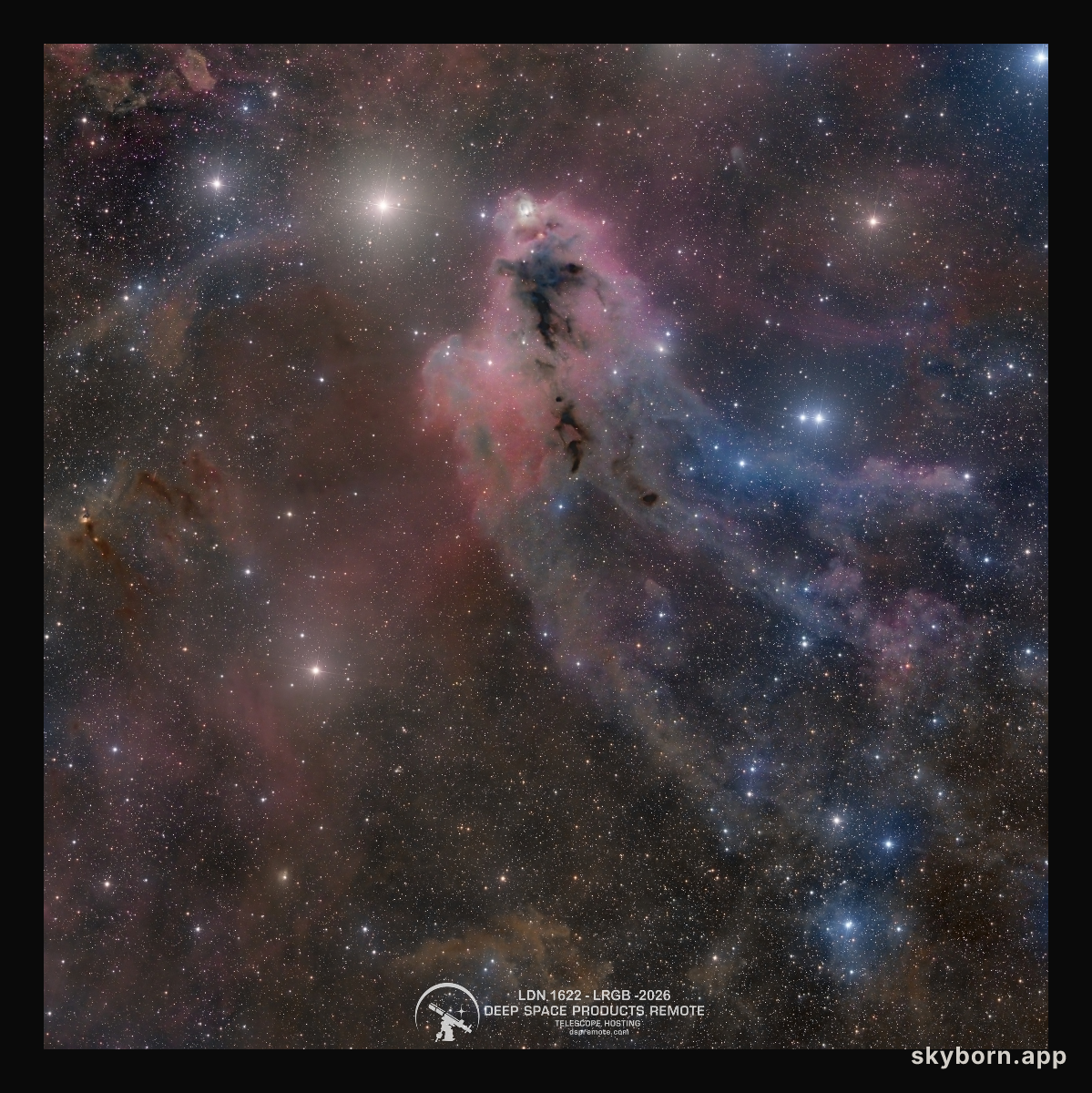 LDN 1622: Dark Nebula in Orion