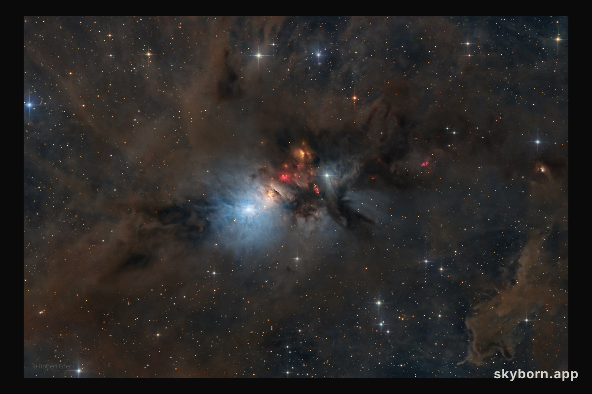 NGC 1333: Stellar Nursery in Perseus