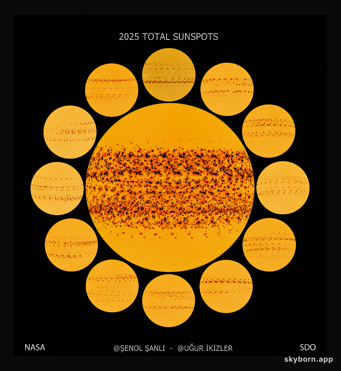 A Year of Sunspots