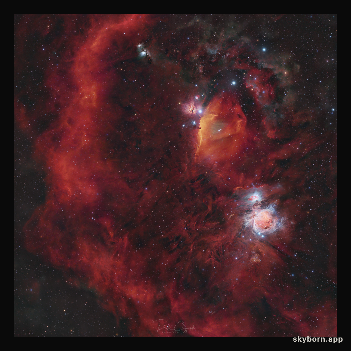 Orion's Cradle