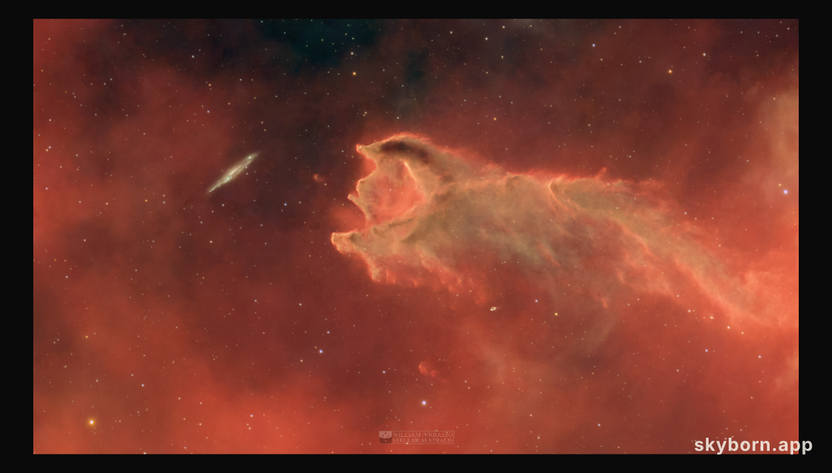 CG 4: The Globule and the Galaxy