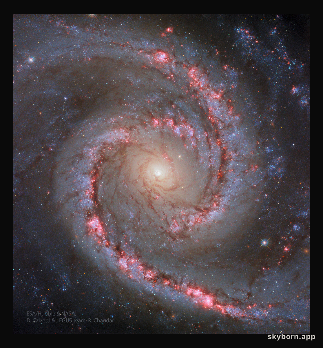 NGC 1566: The Spanish Dancer Galaxy