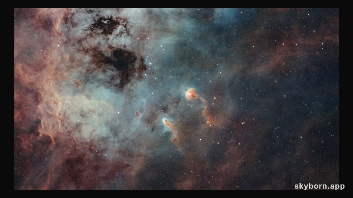 The Tadpoles of IC 410