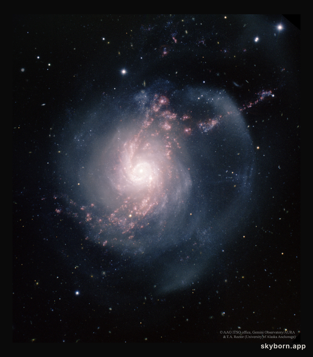 NGC 3310: A Starburst Spiral Galaxy