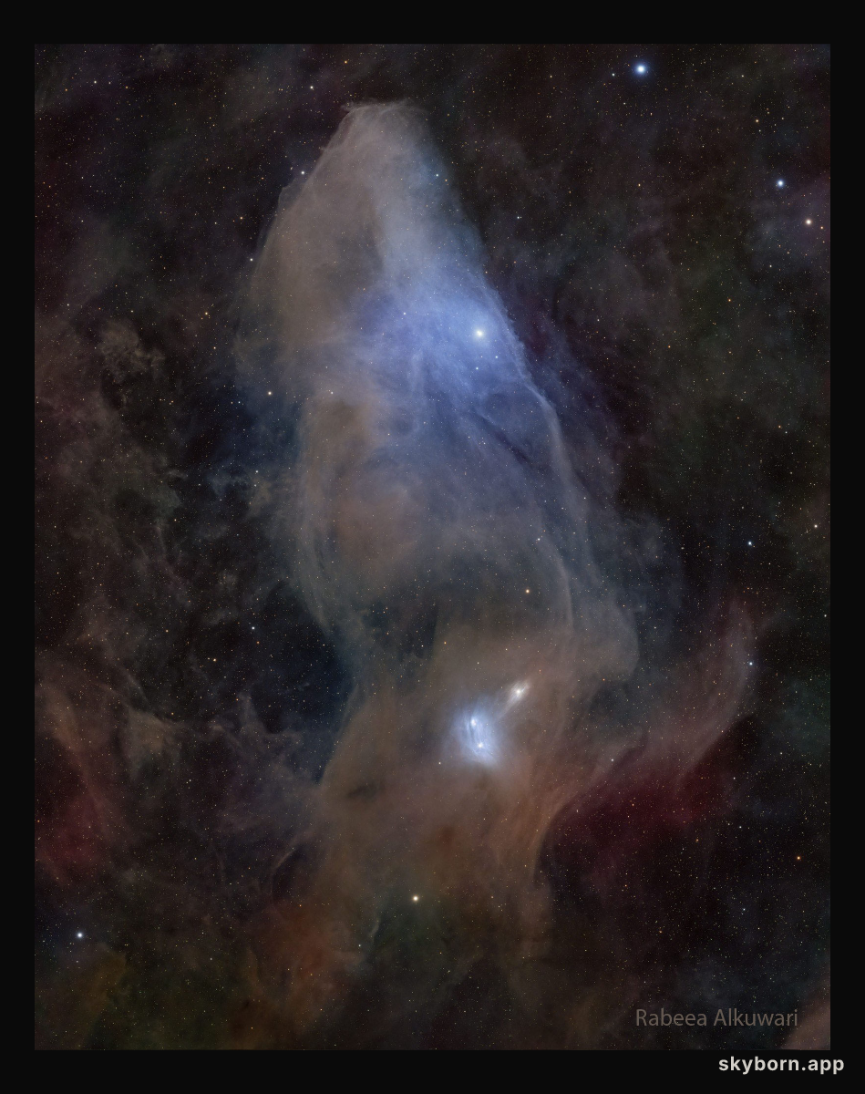 IC 4592: The Blue Horsehead Reflection Nebula