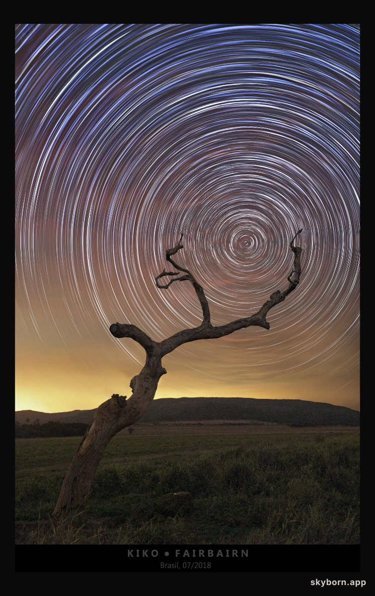 South Celestial Tree