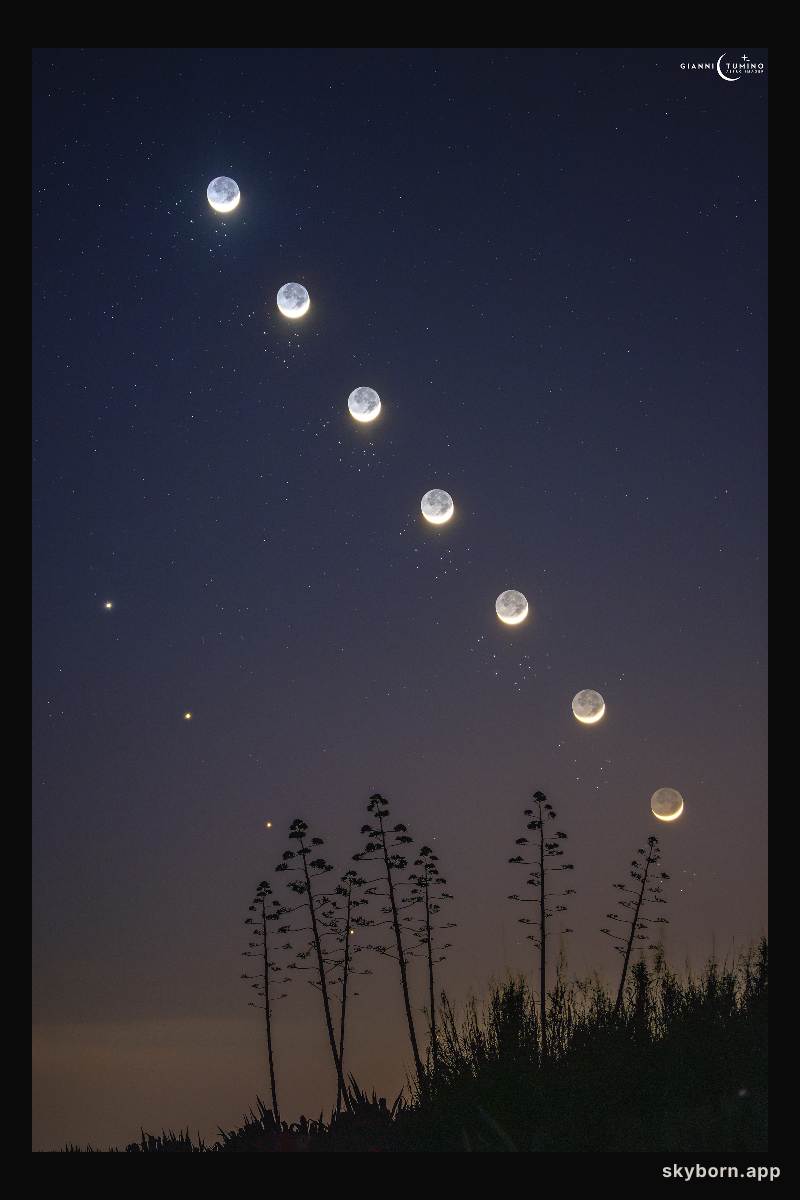 The Moon, Venus, and the Pleiades