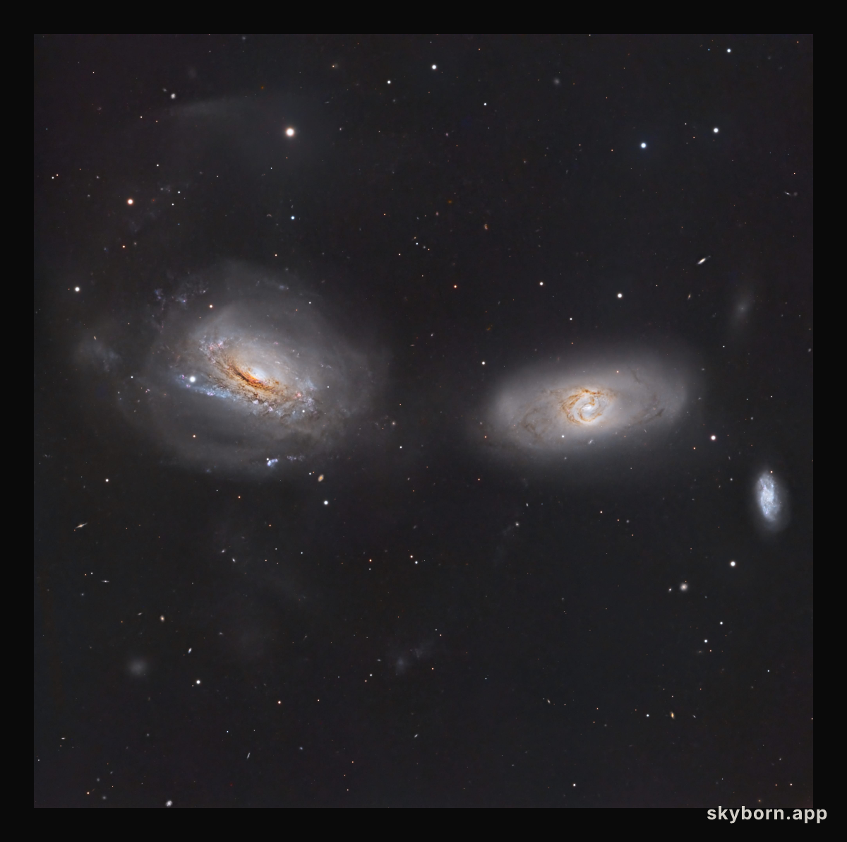 Unraveling NGC 3169