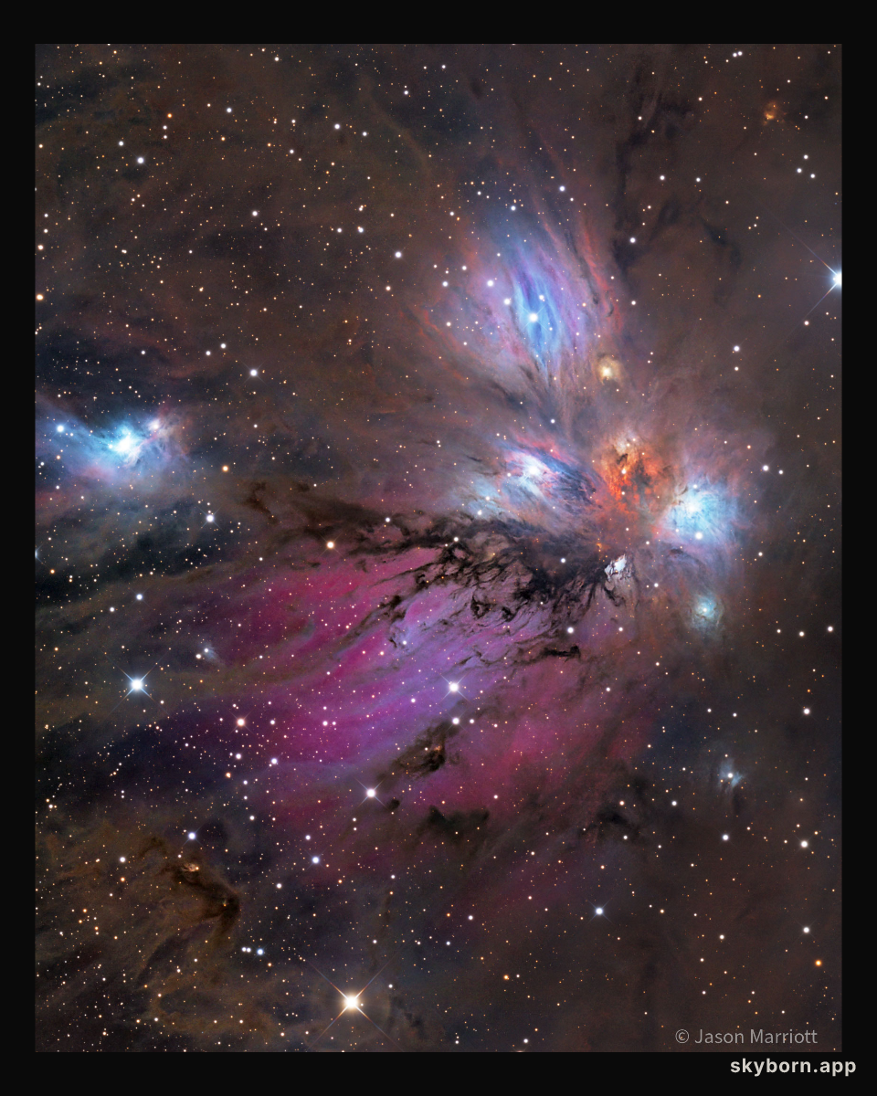 NGC 2170: The Angel Nebula