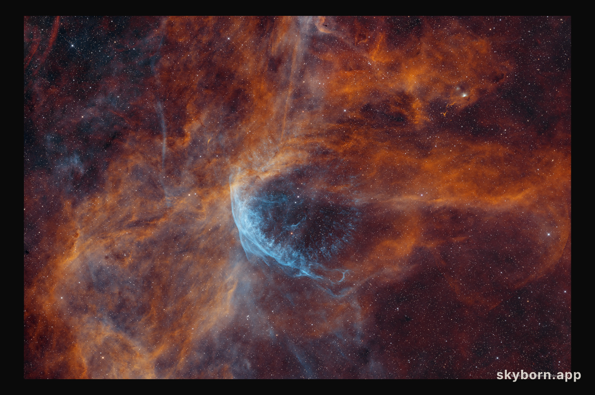 The Nebulous Realm of WR 134