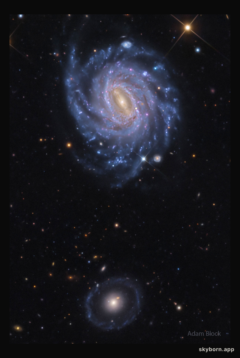 NGC 3660 and Burçin's Galaxy