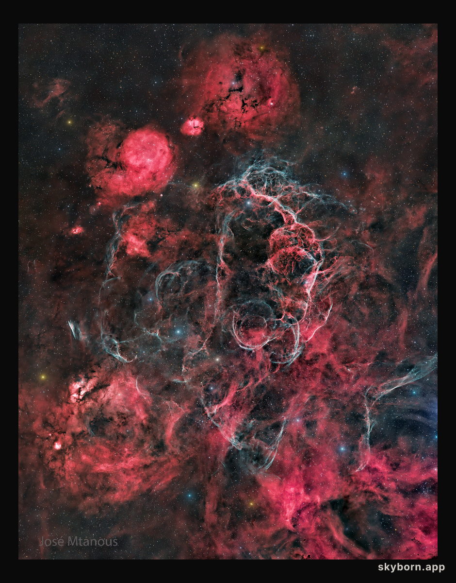 The Vela Supernova Remnant