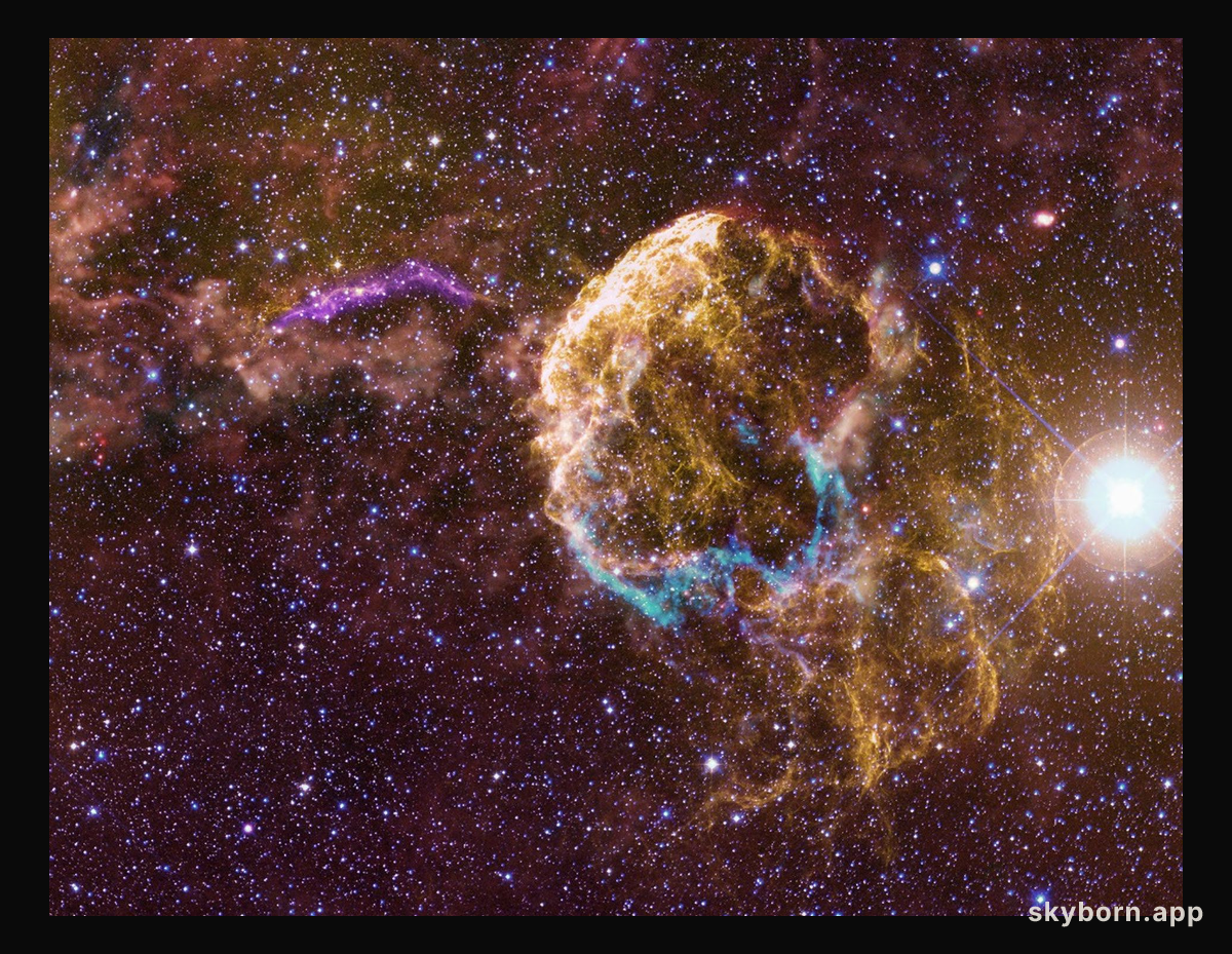 Sibling Supernova Remnants
