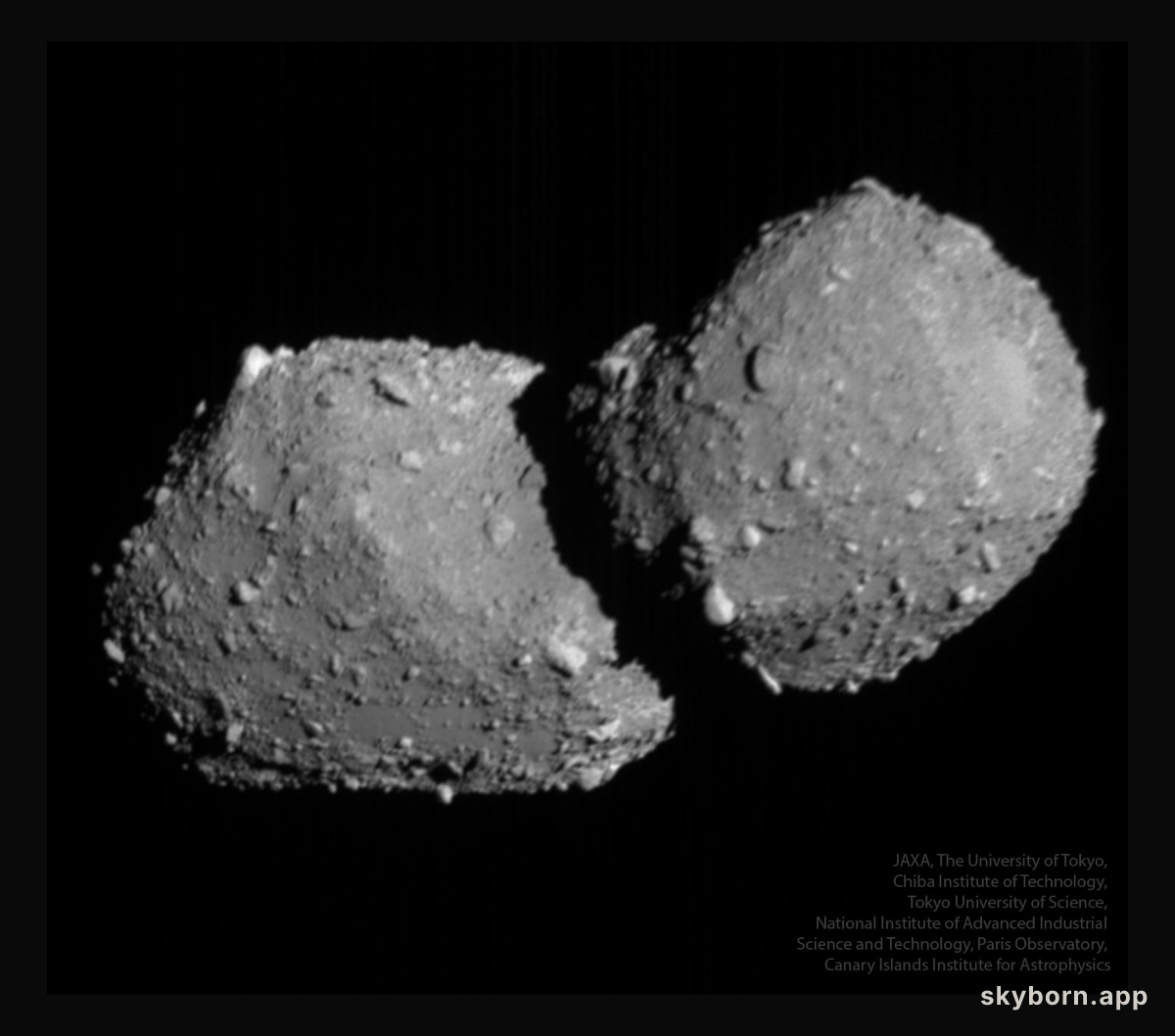 Double Lobed Asteroid Torifune