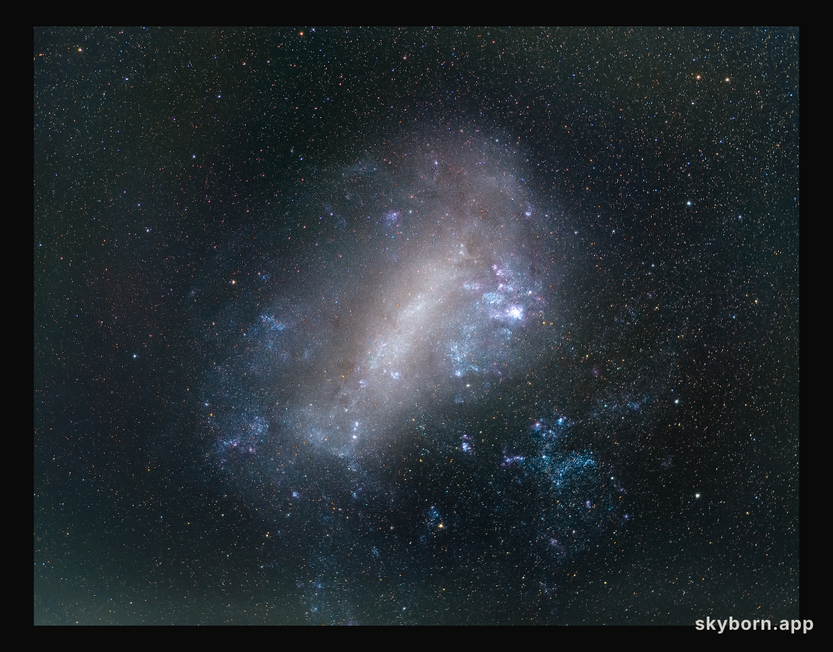 The Large Magellanic Cloud