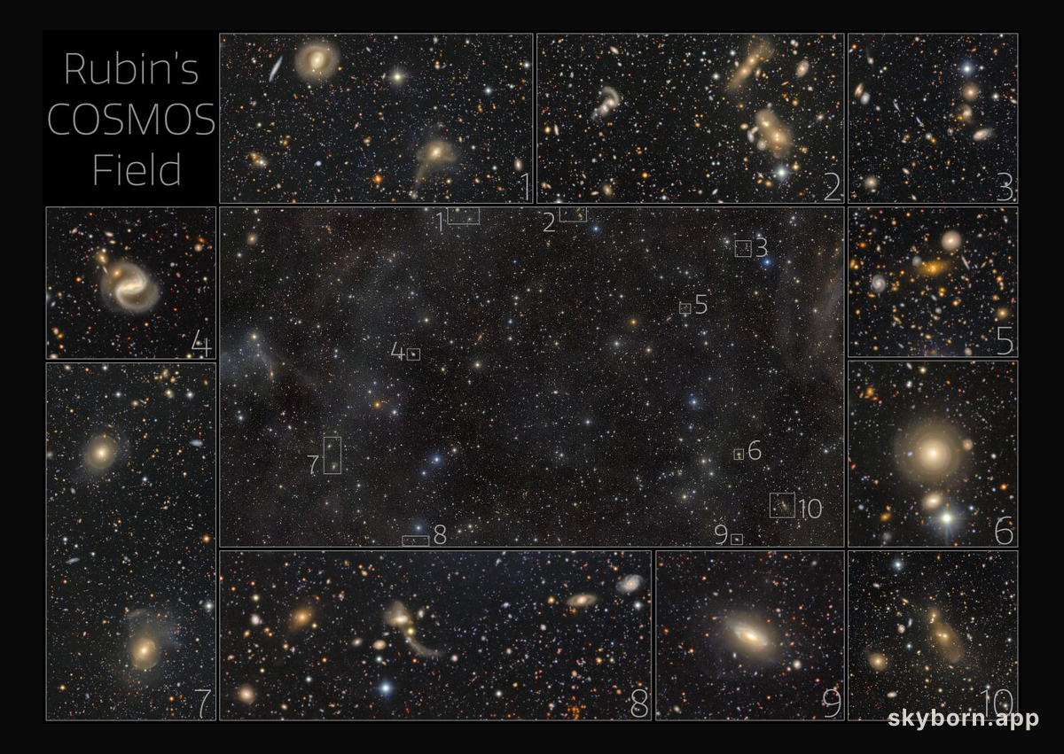 Rubin's COSMOS field