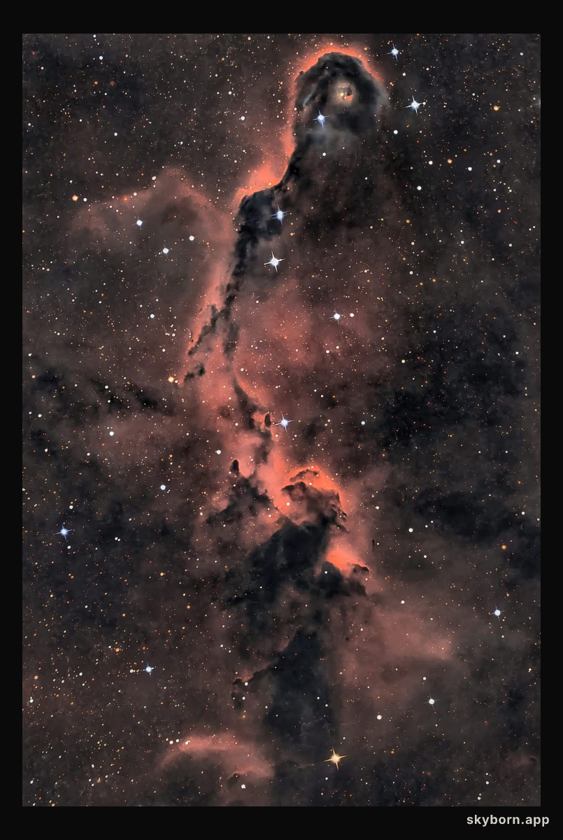 The Elephant's Trunk in Cepheus
