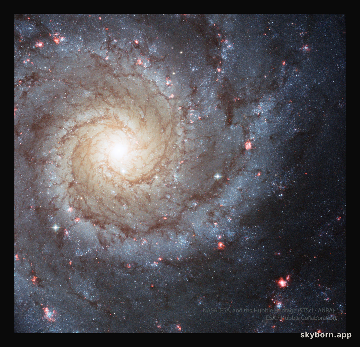 M74: A Grand Design Spiral