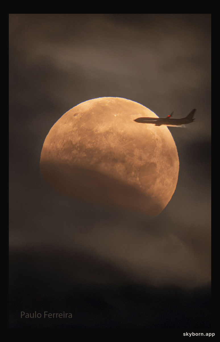 A Plane Lunar Eclipse