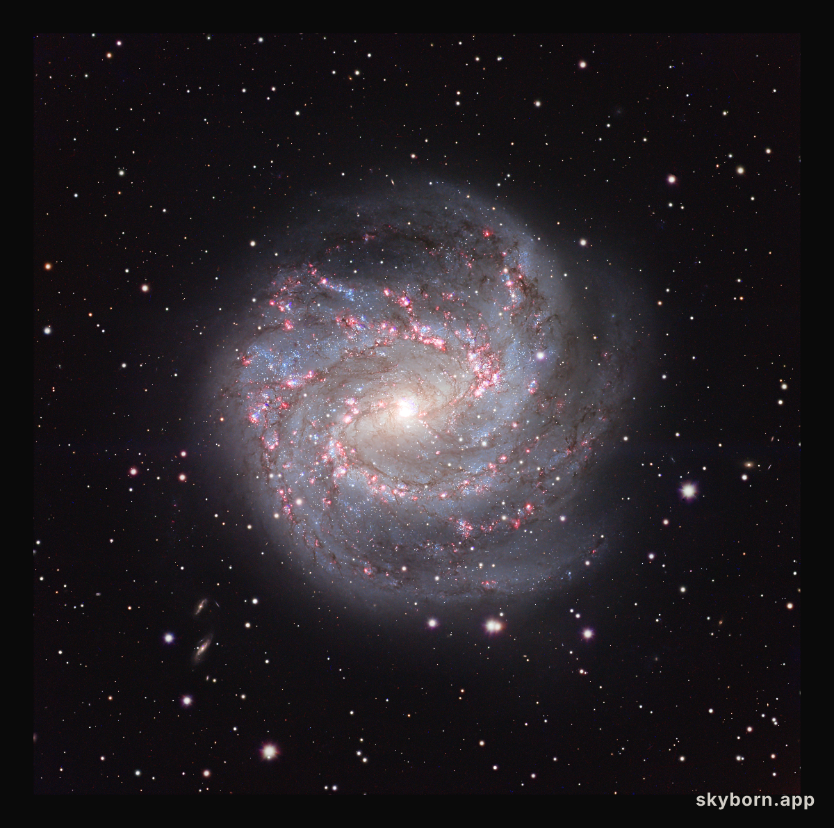 M83: The Southern Pinwheel