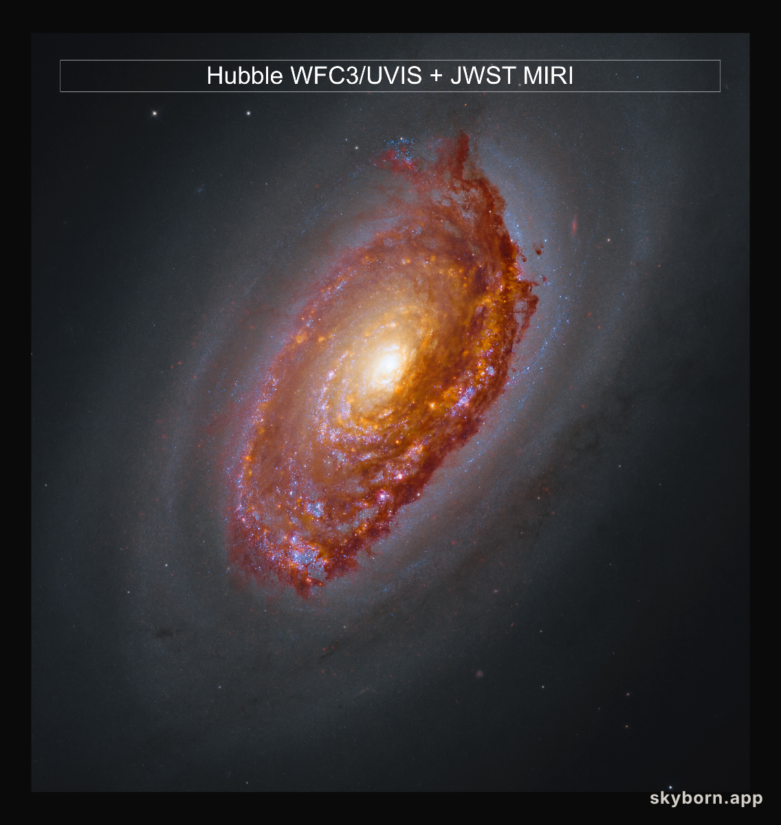 Webb's View of M64