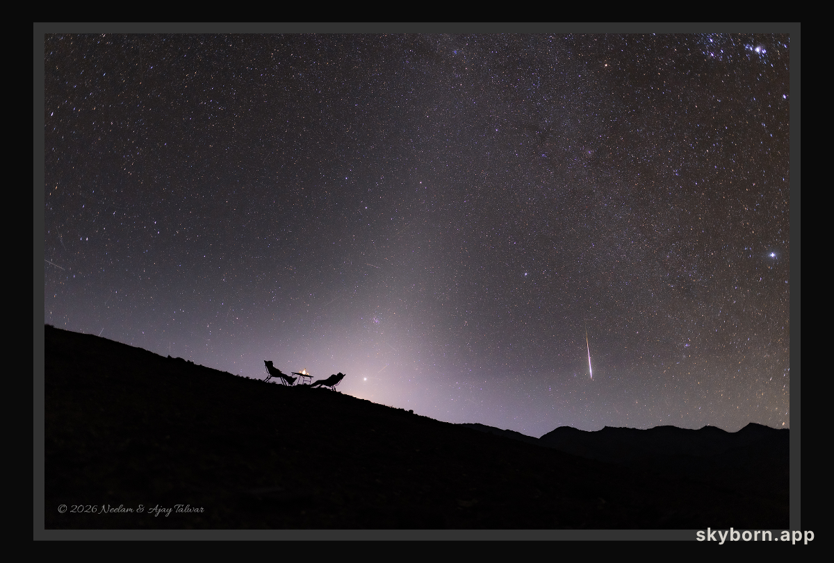 A Zodiacal Night