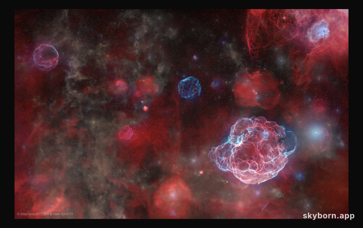 The Ghosts of Five Supernovas