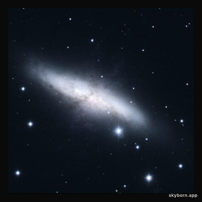 Unusual M82: The Cigar Galaxy Credit and Copyright: