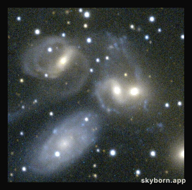 Disorder in Stephan's Quintet