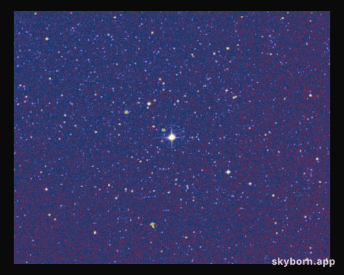 A Close Encounter of the Stellar Kind