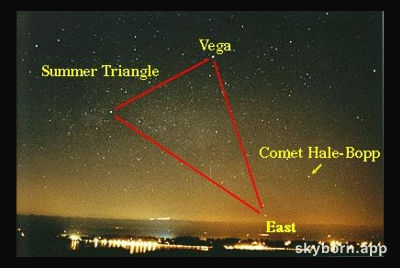 Vega