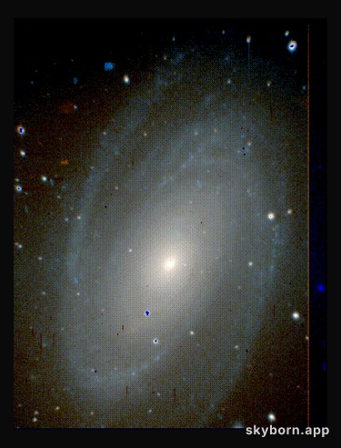 M81 in True Color