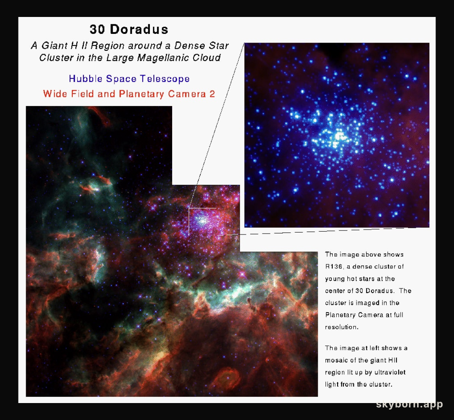 In the Center of 30 Doradus