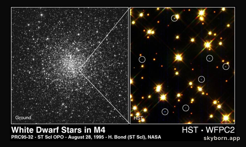 White Dwarf Stars Cool