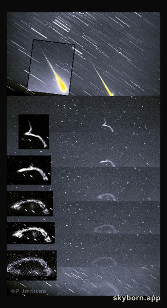 The Leonid Meteor Shower