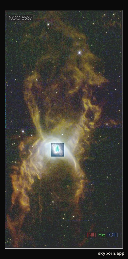 The Red Spider Planetary Nebula