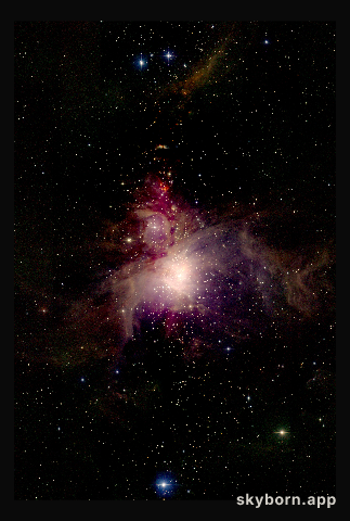 Orion Nebula: The 2MASS View