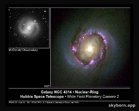 NGC 4314: A Nuclear Starburst Ring