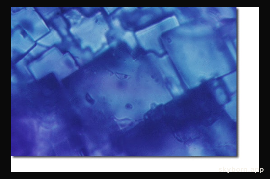 Water Found in Space Rock