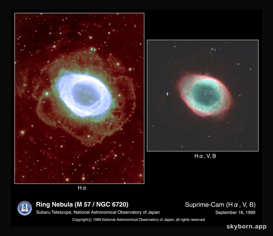 Halos Around the Ring Nebula