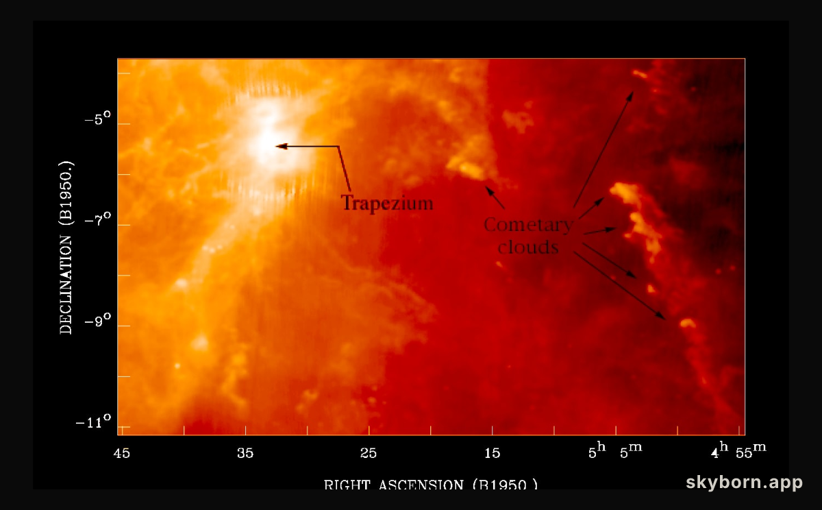 Cometary Globules In Orion