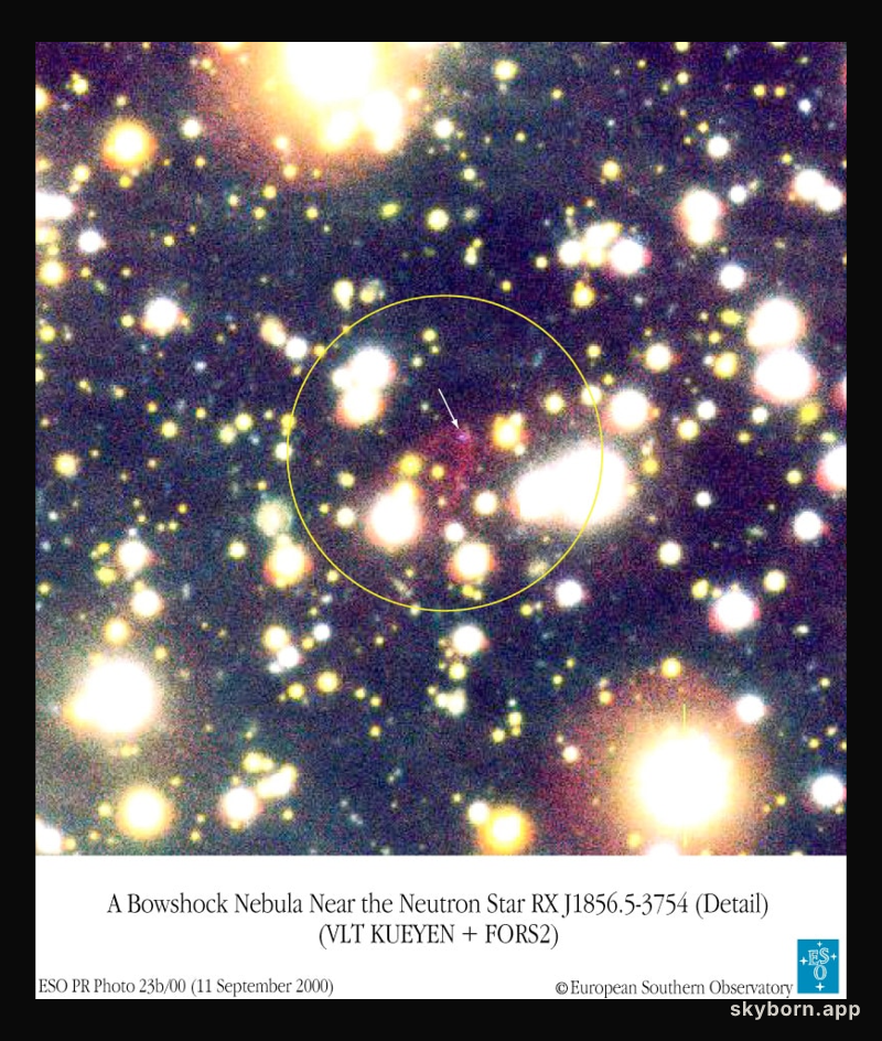 The Nebula And The Neutron Star