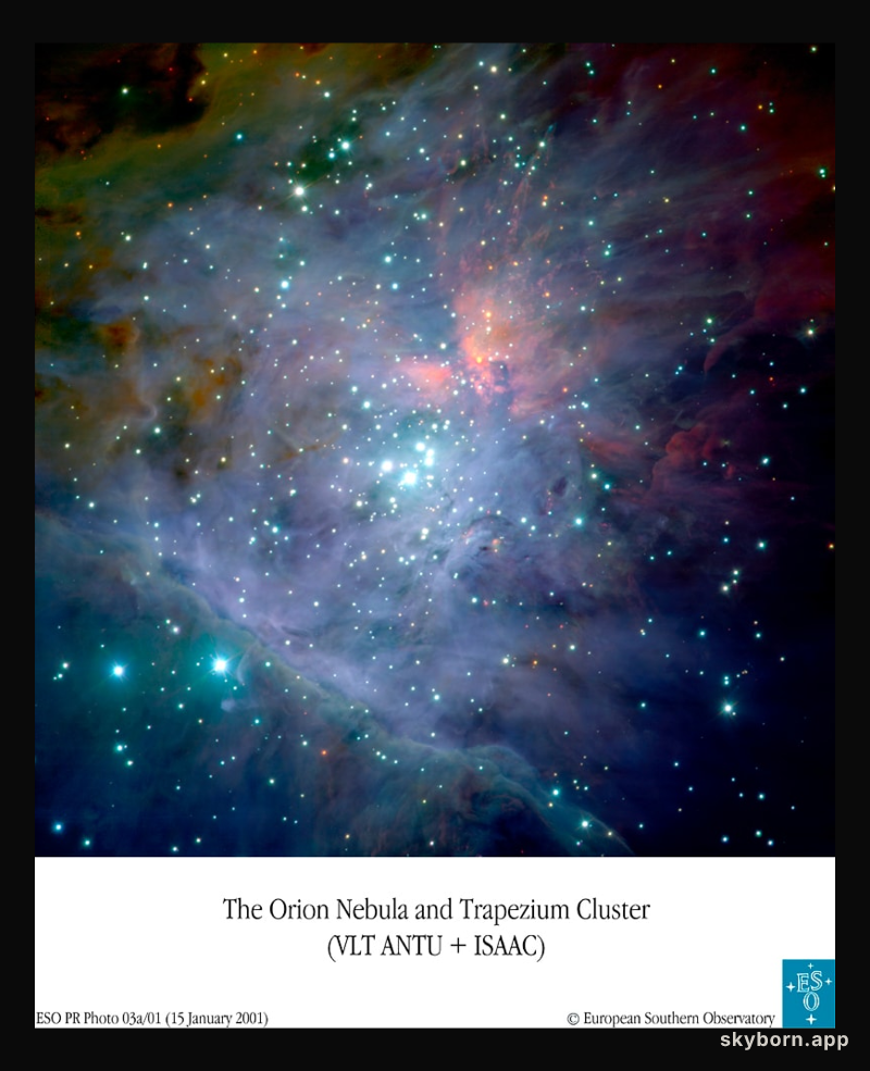 The Orion Nebula from VLT