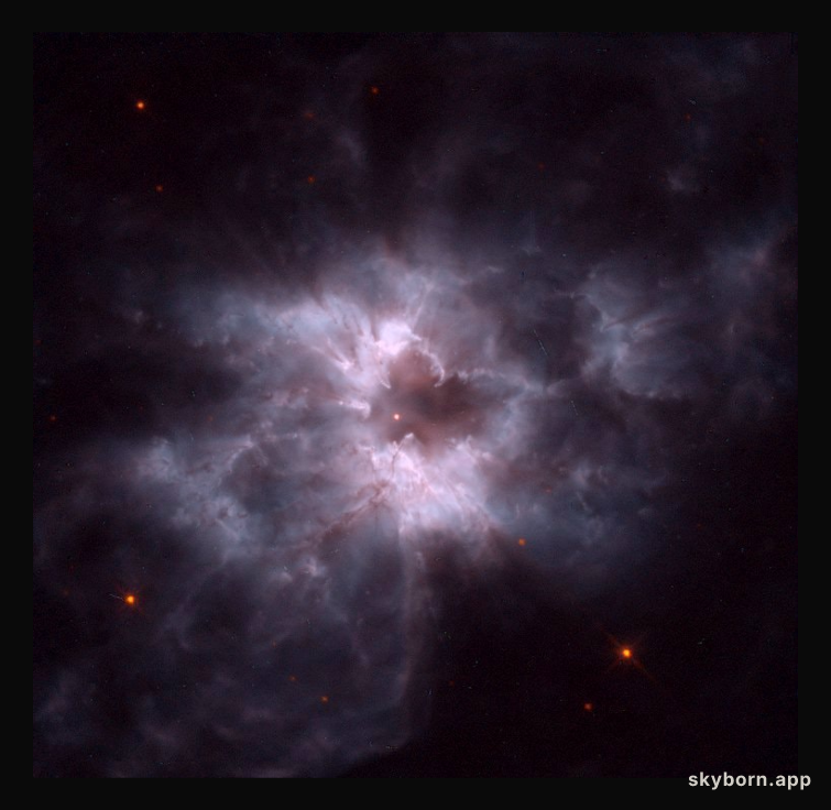 NGC 2440: Cocoon of a New White Dwarf