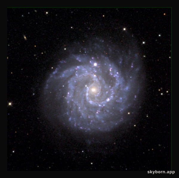 A Gamma Ray Burst - Supernova Connection