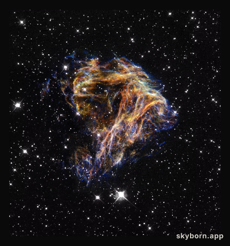 N49's Cosmic Blast